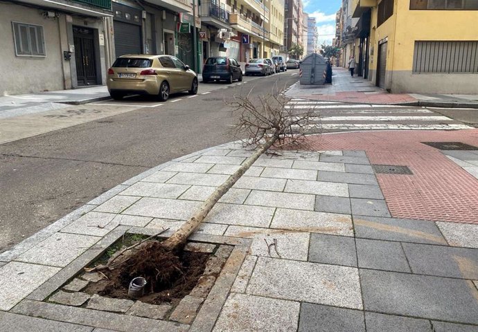 El Ayuntamiento de Salamanca cierra parques y zonas arboladas por una nueva alerta de fuerte viento.