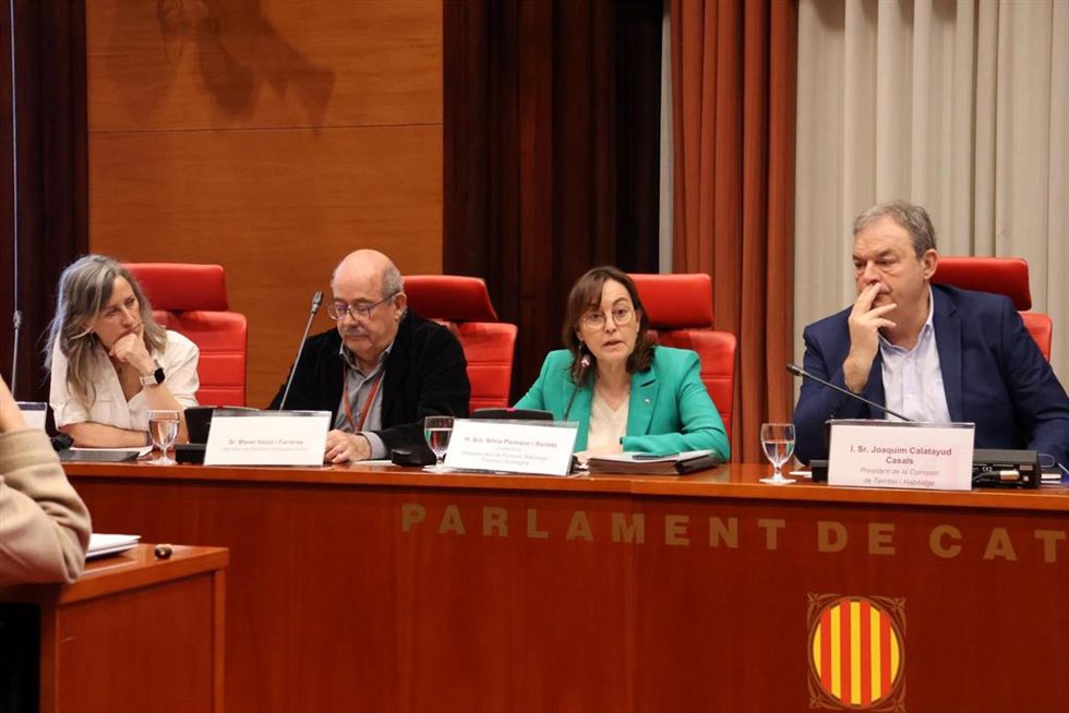 La consellera Sívia Paneque durante su comparecencia
