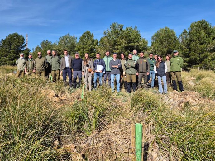 La primera fase de reforestación del parque natural de Llevant termina con más de 20.000 árboles plantados.