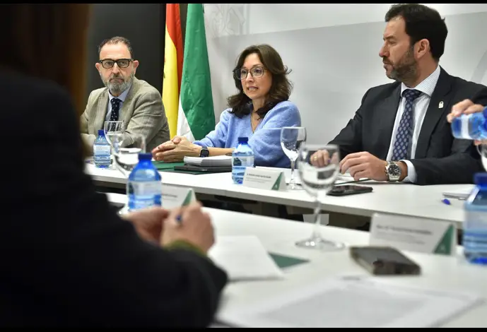 La delegada del Gobierno andaluz en Málaga, Patricia Navarro, en el marco de una reunión con delegados de la Junta