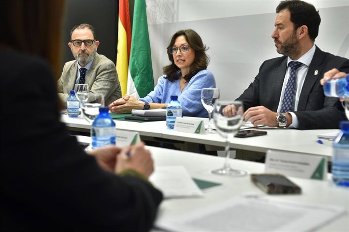 La delegada del Gobierno andaluz en Málaga, Patricia Navarro, en el marco de una reunión con delegados de la Junta