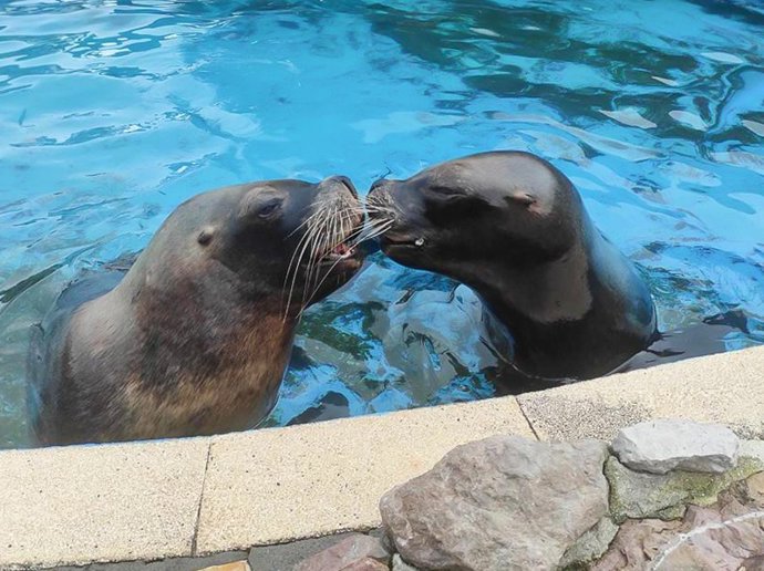 Pas, a la izquierda, junto a su compañera Deva (Foto de archivo)