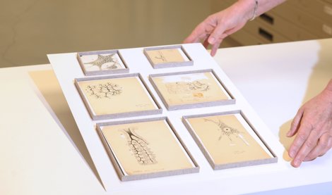 notibrasil sociedade