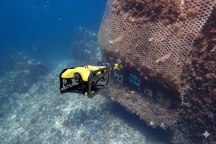Málaga.- Instalados seis microarrecifes inspirados en la naturaleza en el Puerto Deportivo de Marbella
