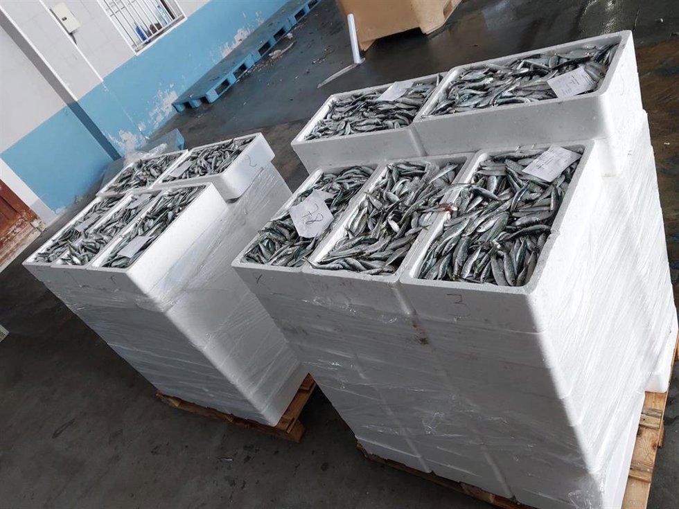 Sardinas decomisadas