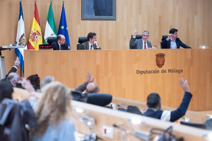 Un momento de la sesión plenaria del mes de febrero de la Diputación de Málaga.