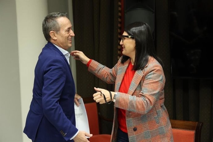 El vicepresidente segundo del Cabildo de Tenerife, José Miguel Ruano, y la vicepresidenta del Cabildo de El Hierro, Ana González, en una reunión de la Comisión General de Cabildos en el Parlamento de Canarias
