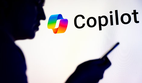 notibrasil sociedade