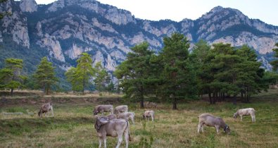 EpAgro - Agricultura
