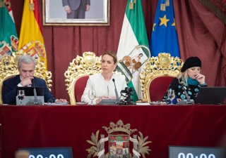 Almudena Martínez presidiendo el Pleno de Diputación del mes de febrero.
