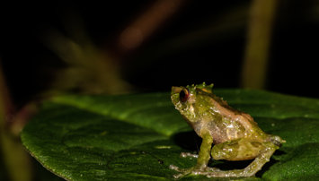notibrasil sociedade