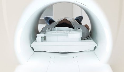 notibrasil sociedade