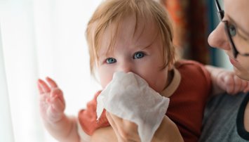 notibrasil sociedade