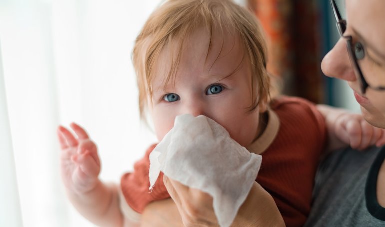 notibrasil sociedade