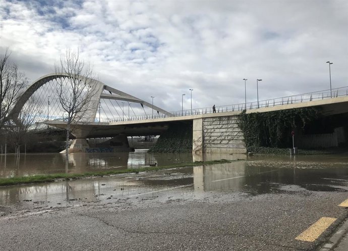 Cecida ordinaria del Ebro a su paso por el puente del Tercer Milenio, en Zaragoza