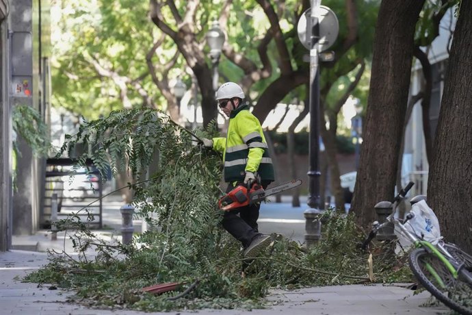 Trabajos de recogida de ramas por el viento