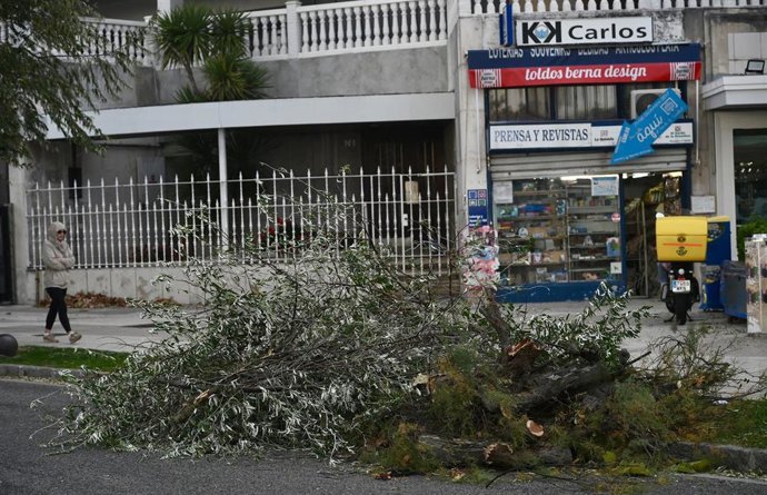 Archivo - Varias ramas caídas en Santander. Foto de archivo