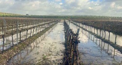 Es Andalucía - Sevilla