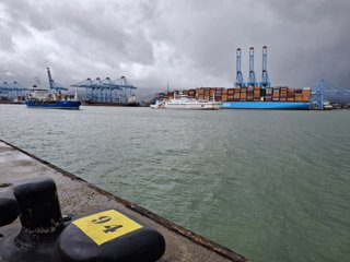 Puerto De Algeciras. Tráficos Enero