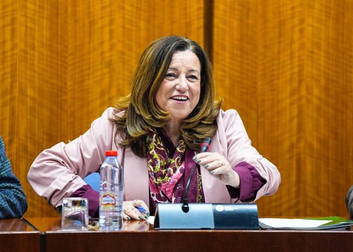 La consejera de Desarrollo Educativo y Formación Profesional de la Junta, María del Carmen Castillo, en la comisión parlamentaria del 19 de febrero de 2026.