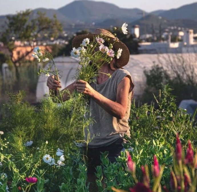 Archivo - Una agricultora recoge flores.