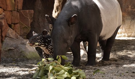 notibrasil política