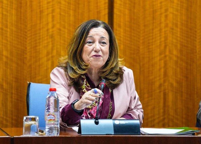 La consejera de Desarrollo Educativo y Formación Profesional, María del Carmen Castillo, en la comisión parlamentaria del 19 de febrero de 2026.