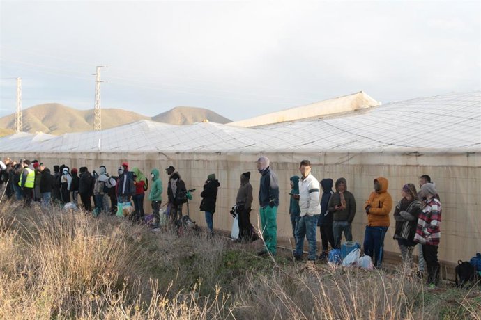 Archivo - Migrantes trabajando en el campo andaluz.