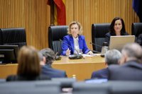 Defensa ve "irresponsable" que el PP hable de "antisemitismo" por rescindir contratos con Israel