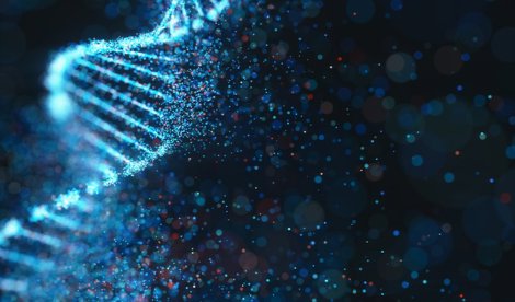 notibrasil sociedade