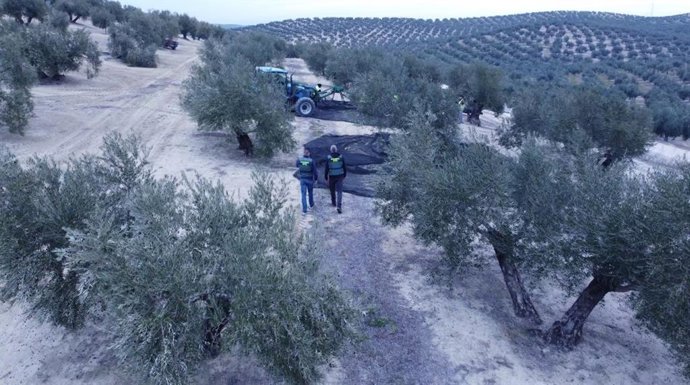 La Guardia Civil inspecciona la finca.