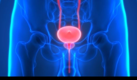 notibrasil sociedade