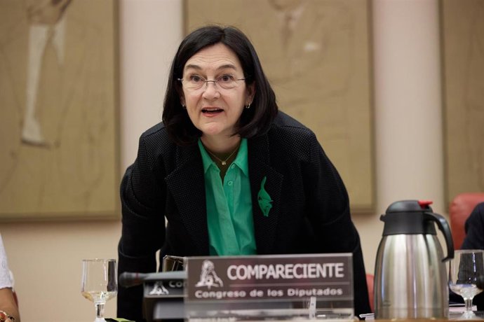 Archivo - La presidenta de la Comisión Nacional de los Mercados y Competencia (CNMC), Cani Fernández