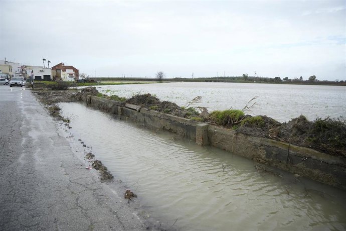 Embalsamiento de la carretera de acceso a la localidad sevillana del Palmar de Troya provocado por la borrasca Leonardo. 