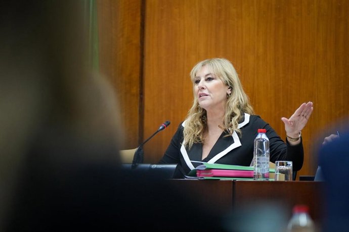 La consejera de Economía y portavoz del Gobierno andaluz, Carolina España, este jueves durante su comparecencia parlamentaria. 