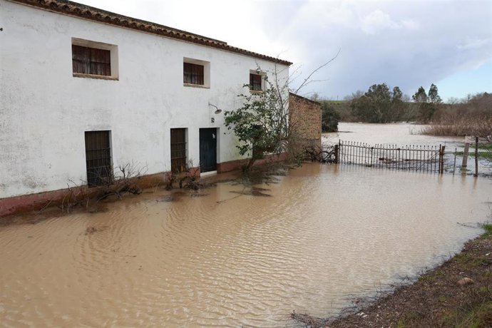 Crecida del río Guadalquivir a su paso por el pueblo sevillano de Lora del Río durante el temporal.