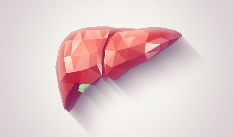 notibrasil sociedade