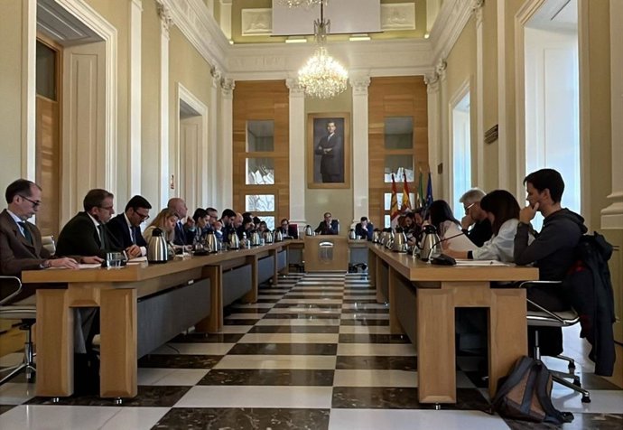 Pleno del Ayuntamiento de Cáceres del mes de febrero