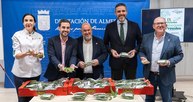 Diputación de Almería