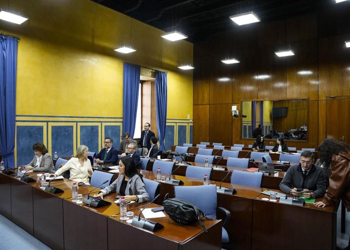 Diputados en la comisión de Desarrollo Educativo del Parlamento andaluz.