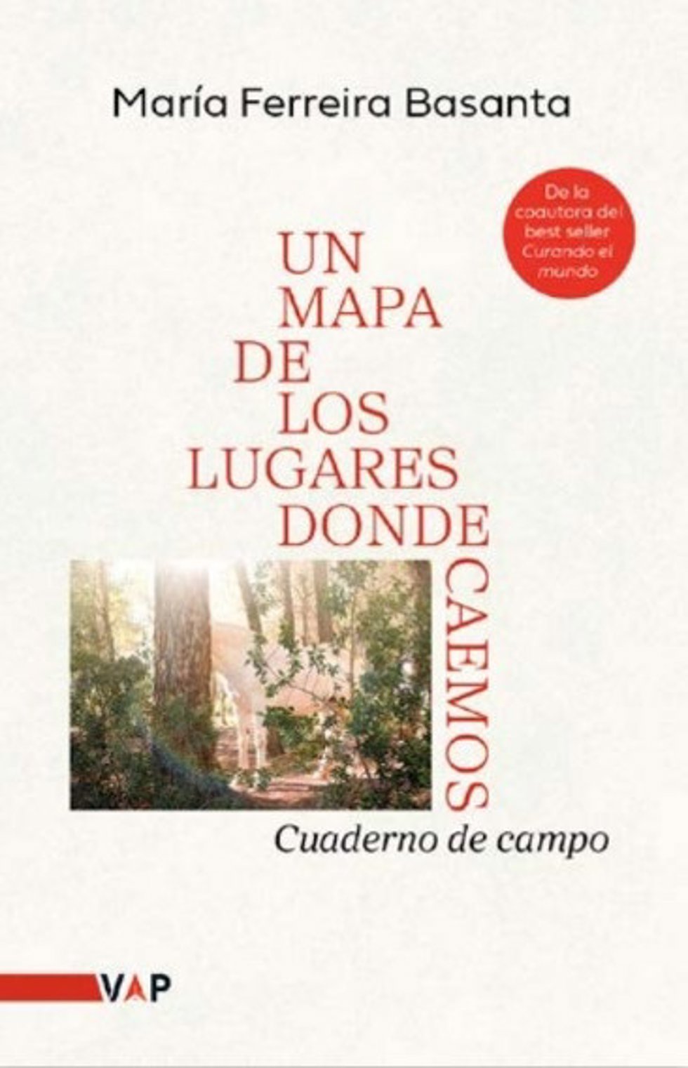 María Ferreira Basanta publica 'Un mapa de los lugares donde caemos'
