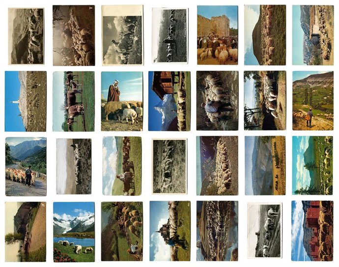 El Ministerio de Asuntos Exteriores, Unión Europea y Cooperación, a través de la Agencia Española de Cooperación Internacional para el Desarrollo (AECID), organiza, en colaboración con Acción Cultural Española (AC/E), la participación de España.