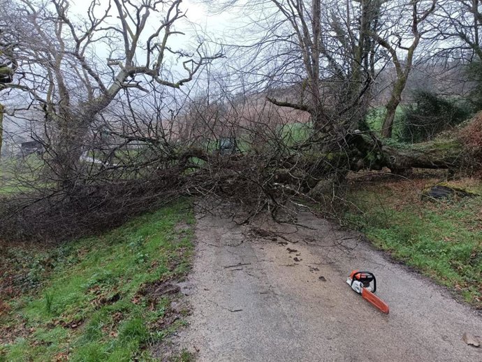 Los bomberos retiran un árbol caído que impedía la entrada a una vivienda en Esles