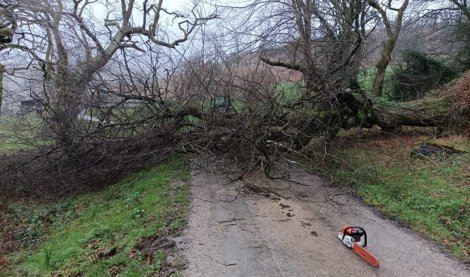 notibrasil política