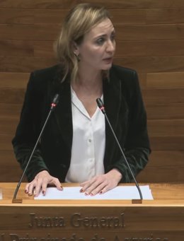 Archivo - La diputada de IU Delia Campomanes