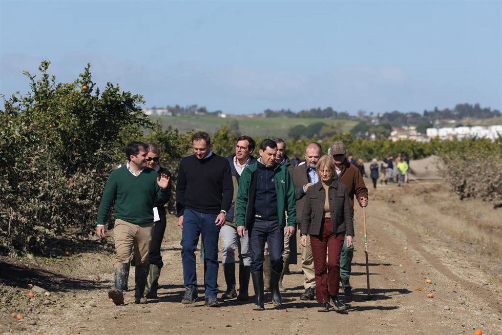 El presidente de la Juntade Andalucía, Juanma Moreno (2d),junto al comisario europeo de Agricultura,Christophe Hansen (2i), visitan zonas agrícolas afectadas por el tren de borrascas en Jerez de la Frontera.