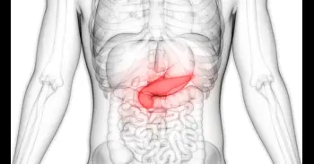 El ‘páncreas cíborg’: un implante electrónico que ayuda a madurar células productoras de insulina en el laboratorio