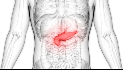El ‘páncreas cíborg’: un implante electrónico que ayuda a madurar células productoras de insulina en el laboratorio