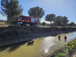 Zona en la que quedó atrapado el ciervo.