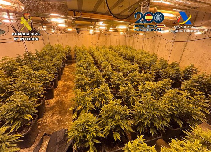 Se hallaron dos invernaderos tipo indoor habilitados para el cultivo ilícito de marihuana